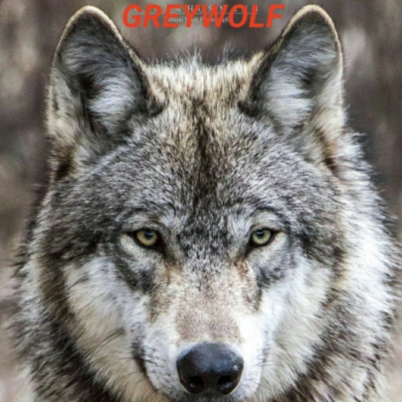 greywolfllc99